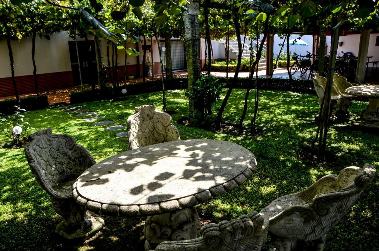 Alminhas House Apartment Alapela Екстериор снимка