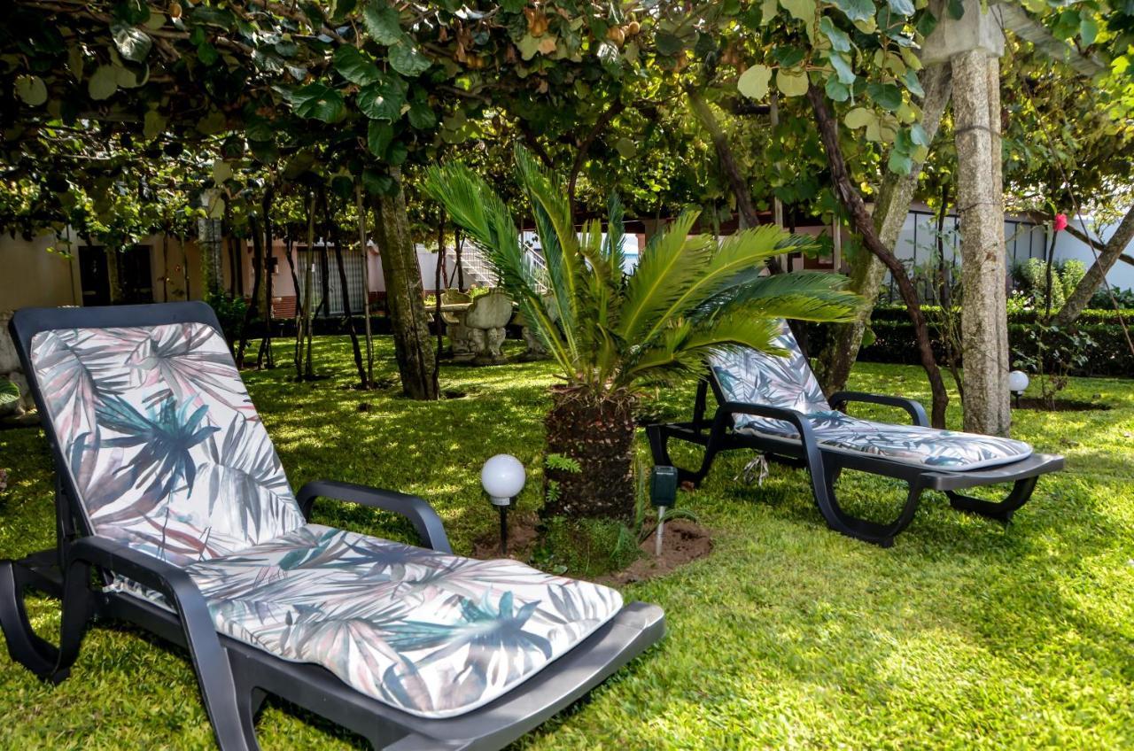 Alminhas House Apartment Alapela Екстериор снимка